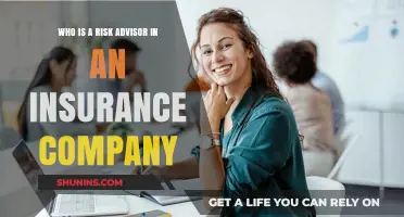 Understanding the Role of a Risk Advisor in Insurance Companies