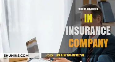 Understanding the Role of an Insurance Adjuster: Key Responsibilities Explained