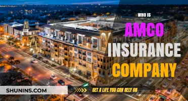 Who is AMCO Insurance Company? A Comprehensive Overview