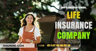 Who is American General Life Insurance Company? A Comprehensive Overview