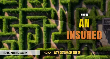 Understanding Who Qualifies as an Insured: A Comprehensive Guide