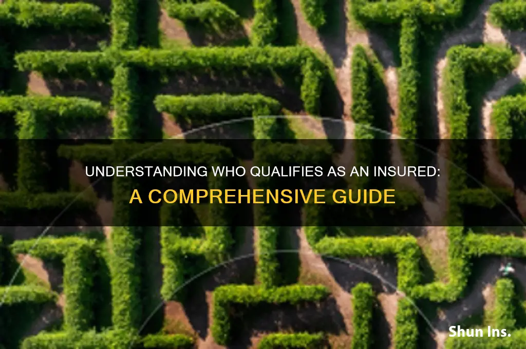 who is an insured