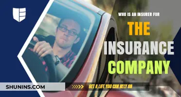 Understanding the Role of an Insurer in Insurance Companies