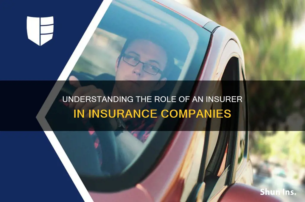 who is an insurer for the insurance company