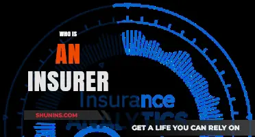 Understanding the Role and Responsibilities of an Insurer