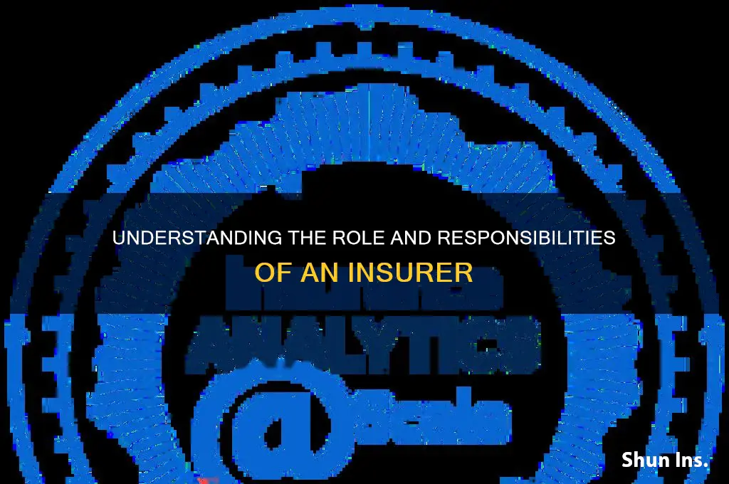 who is an insurer