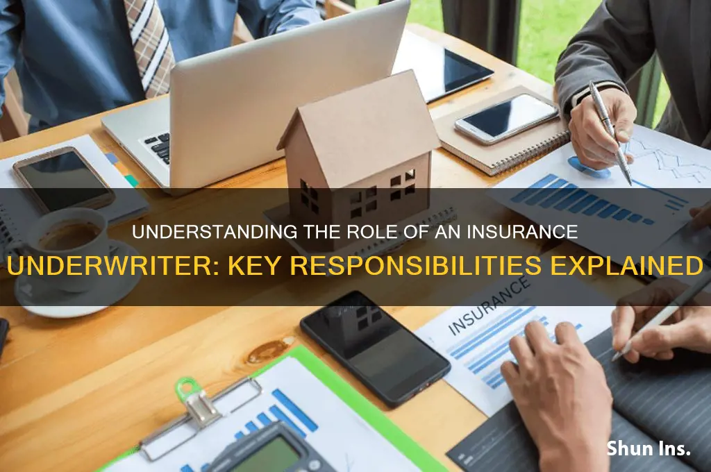 who is an underwriter in insurance company