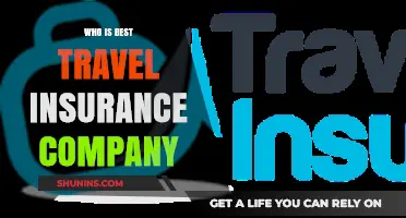 Top Travel Insurance Companies: A Comprehensive Guide to the Best