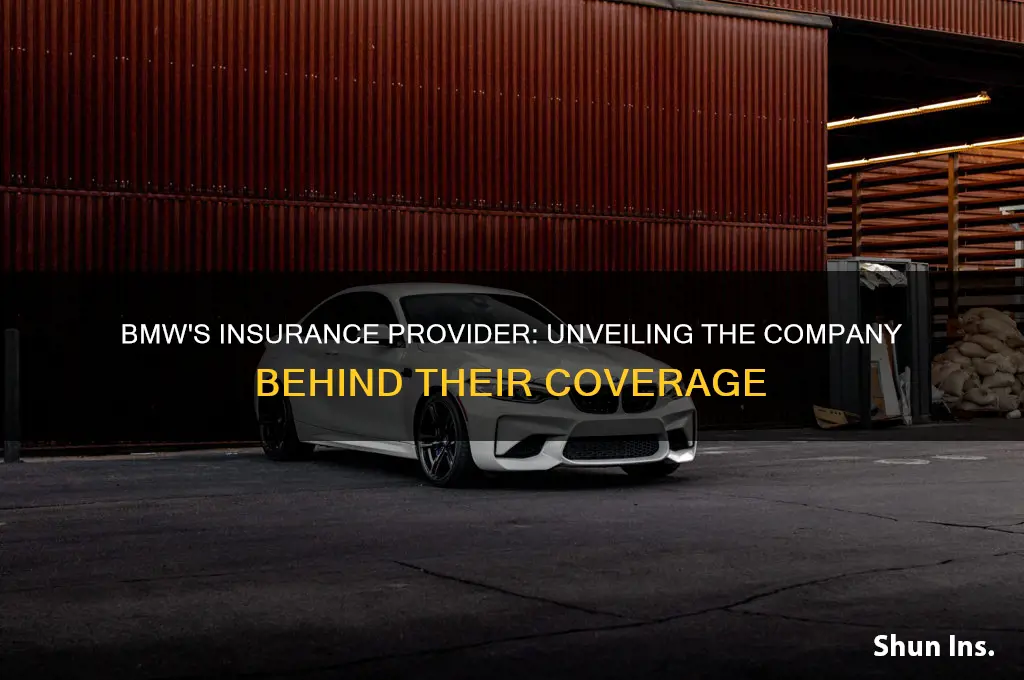 who is bmw company insured by