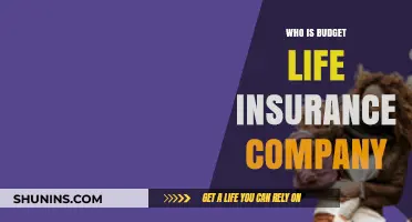Who is Budget Life Insurance Company? A Comprehensive Guide