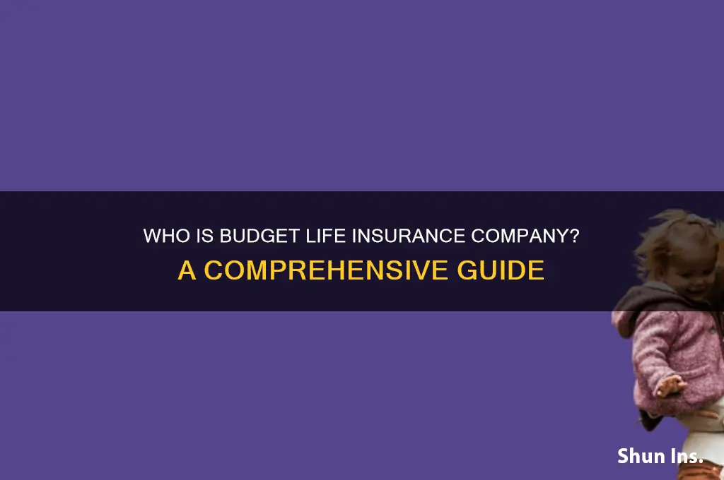 who is budget life insurance company