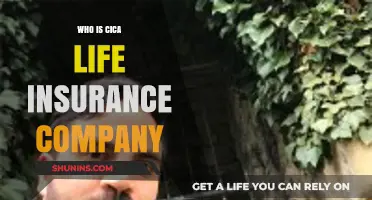 Understanding CICA Life Insurance: Services, Benefits, and Customer Reviews