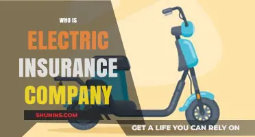 Who is Electric Insurance Company? A Comprehensive Overview and Guide