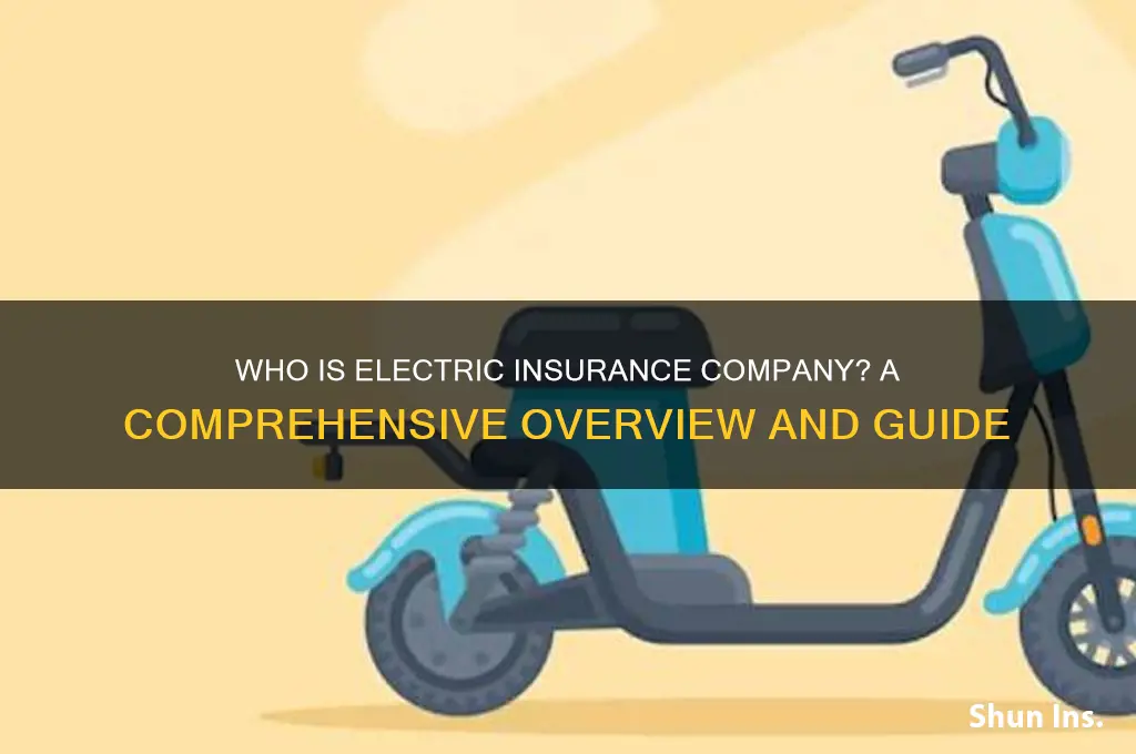 who is electric insurance company
