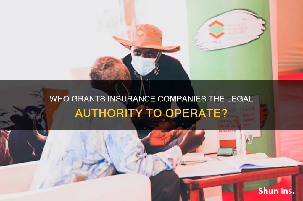who is gives the insurance companies the authorization to work