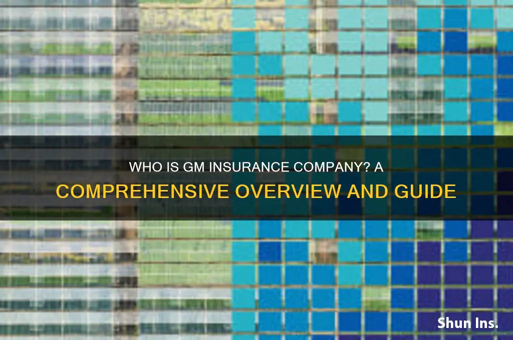 who is gm insurance company