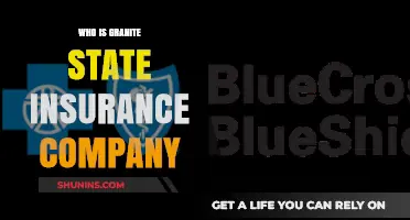 Who is Granite State Insurance Company? A Comprehensive Overview