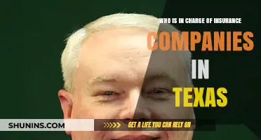 Texas Insurance Oversight: Who Regulates Insurance Companies in the Lone Star State?