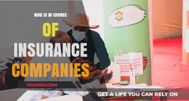 Who Oversees Insurance Companies: Understanding Regulatory Authority and Leadership