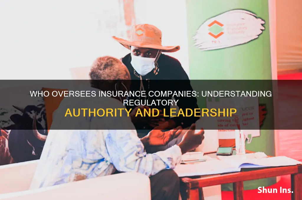 who is in charge of insurance companies