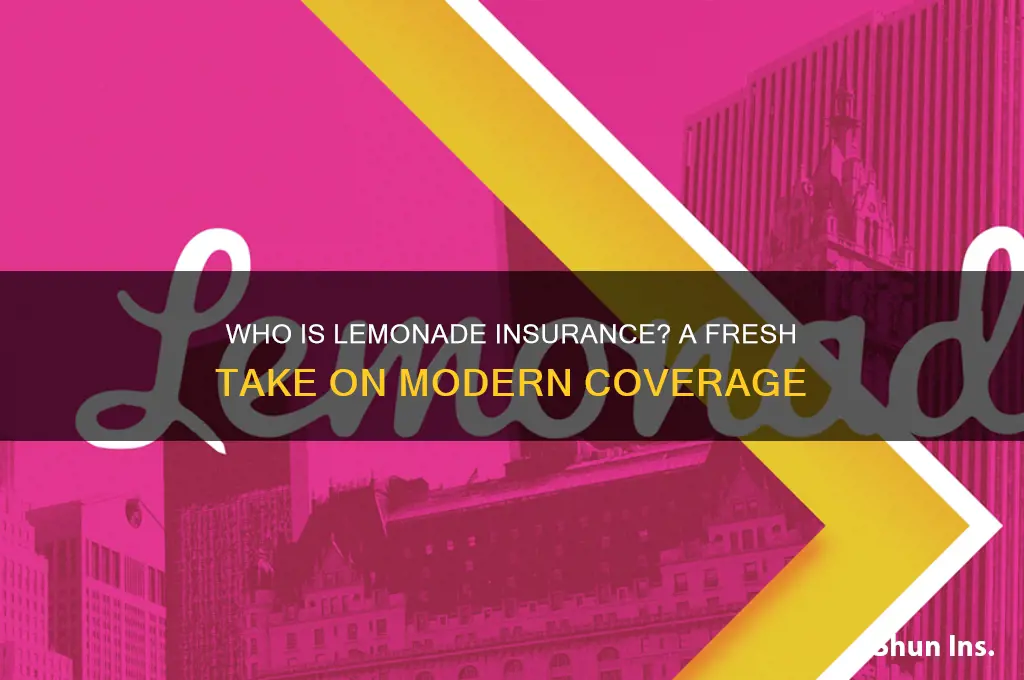 who is lemonade insurance company