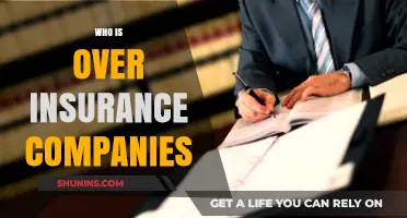Who Regulates Insurance Companies: Understanding Oversight and Consumer Protection