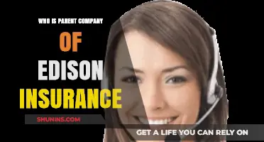 Unveiling Edison Insurance's Parent Company: A Comprehensive Ownership Overview