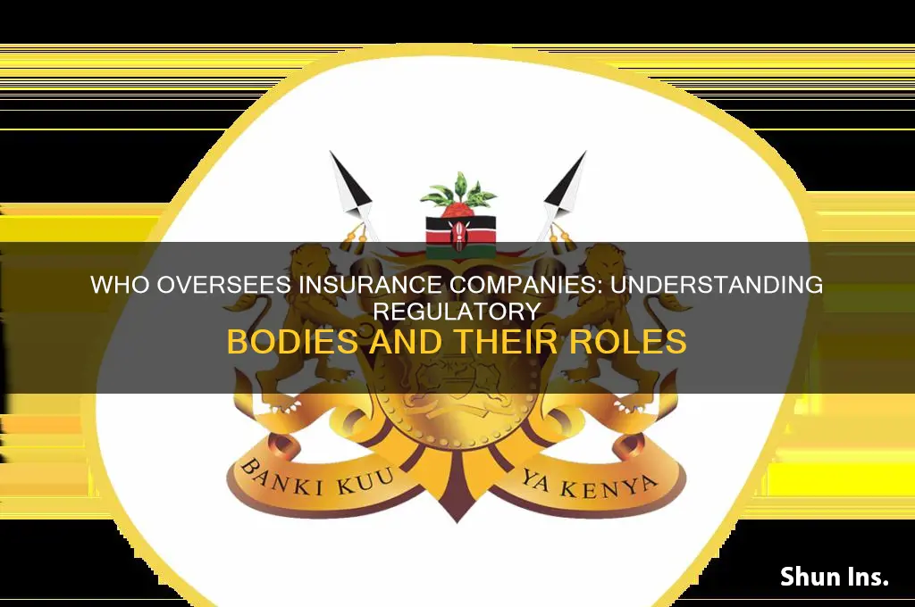who is regulates insurance companies to work