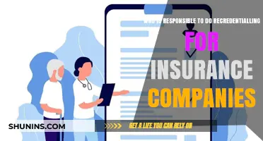 Who Handles Insurance Recredentialing: Key Responsibilities and Roles