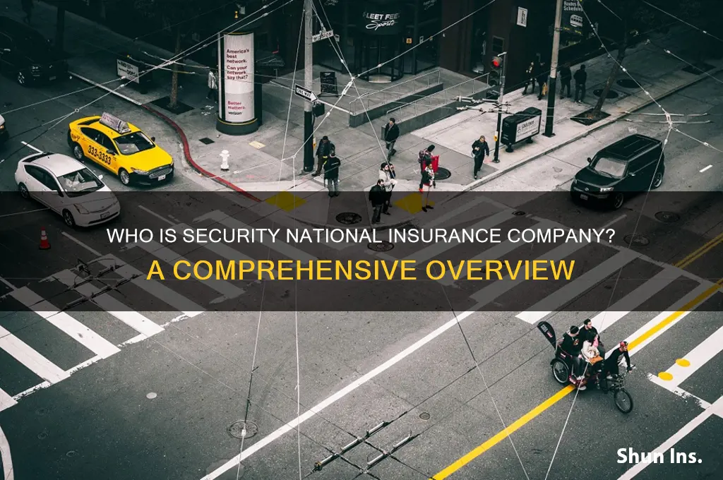 who is security national insurance company