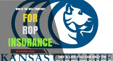 Top ROP Insurance Providers: Who Offers the Best Coverage?