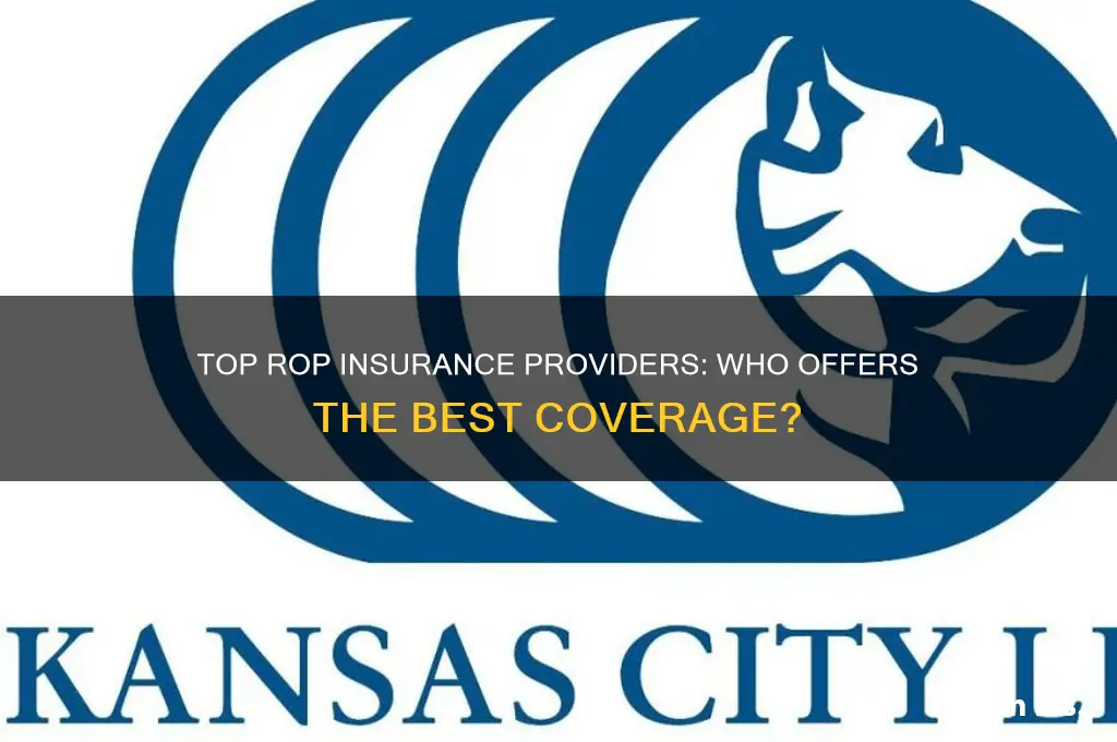 who is tbe best company for rop insurance