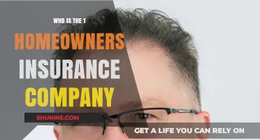 Top Homeowners Insurance Company: Who Leads the Market in 2023?