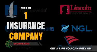 Discovering the Top Insurance Company: A Comprehensive Industry Leader Analysis