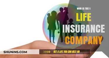 Discovering the Top Life Insurance Provider: A Comprehensive Guide