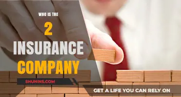 Discovering the Second Largest Insurance Company: A Comprehensive Guide