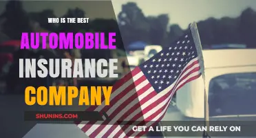 Top Automobile Insurance Companies: Who Offers the Best Coverage?