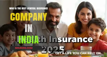 Top General Insurance Companies in India: A Comprehensive Review