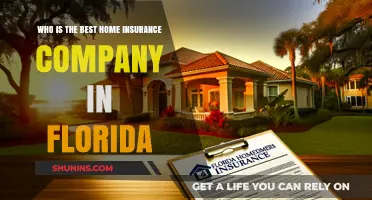Top Florida Home Insurance Companies: Who Offers the Best Coverage?