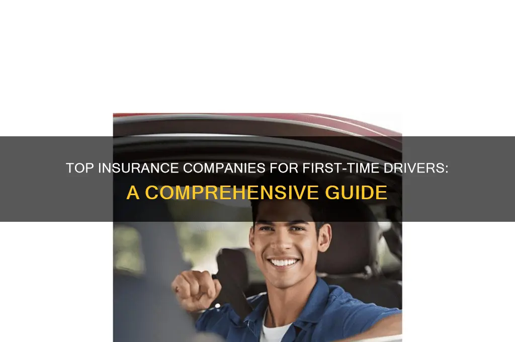 who is the best insurance company for first time drivers