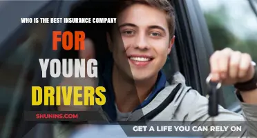 Top Insurance Providers for Young Drivers: A Comprehensive Guide