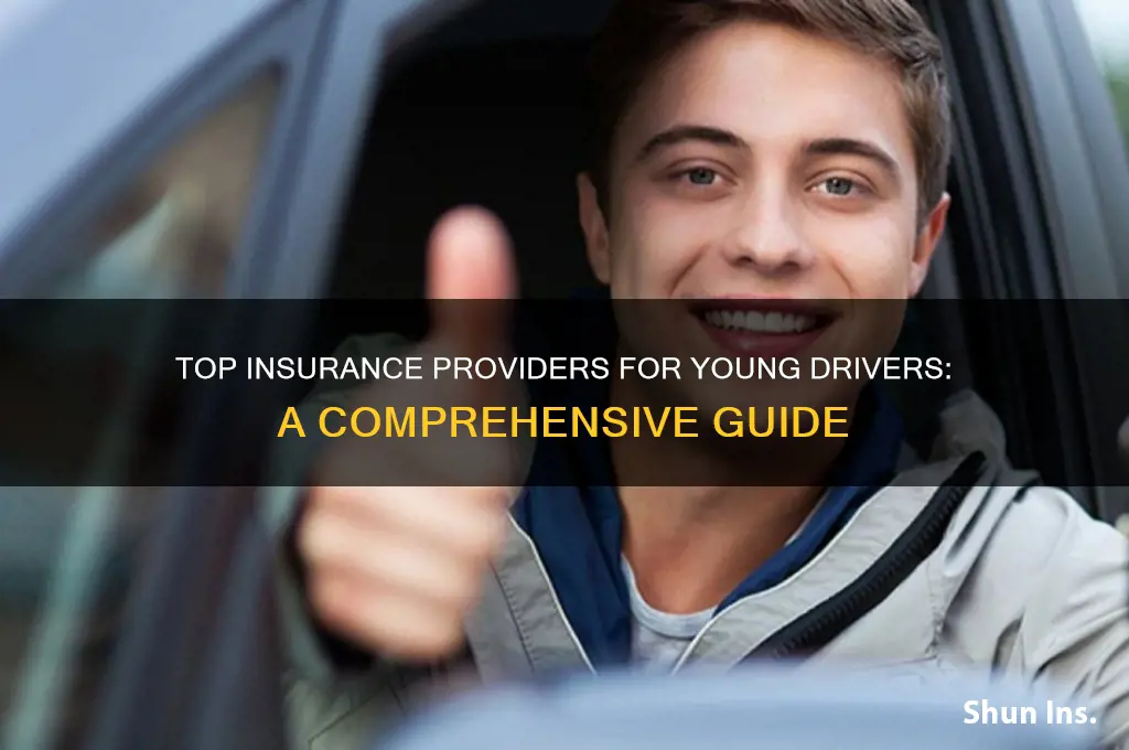 who is the best insurance company for young drivers
