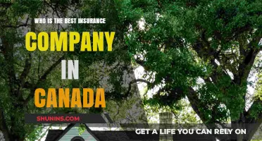 Top Canadian Insurance Companies: Who Offers the Best Coverage?