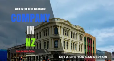 Top NZ Insurance Companies: Who Offers the Best Coverage?