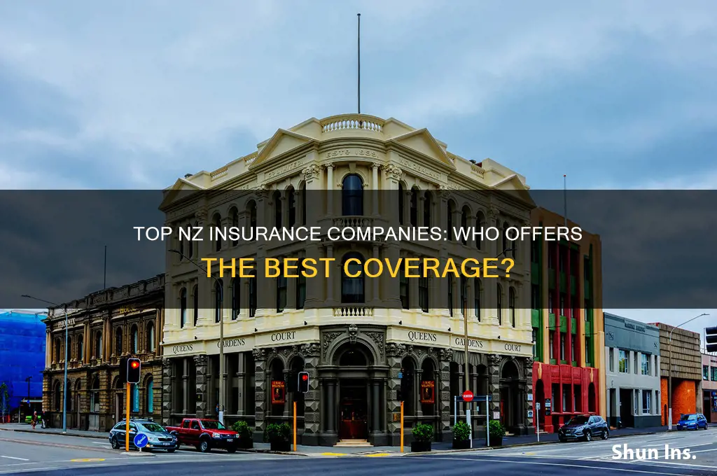 who is the best insurance company in nz
