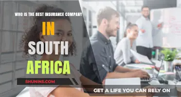 Top Insurance Providers in South Africa: Who Ranks Best?