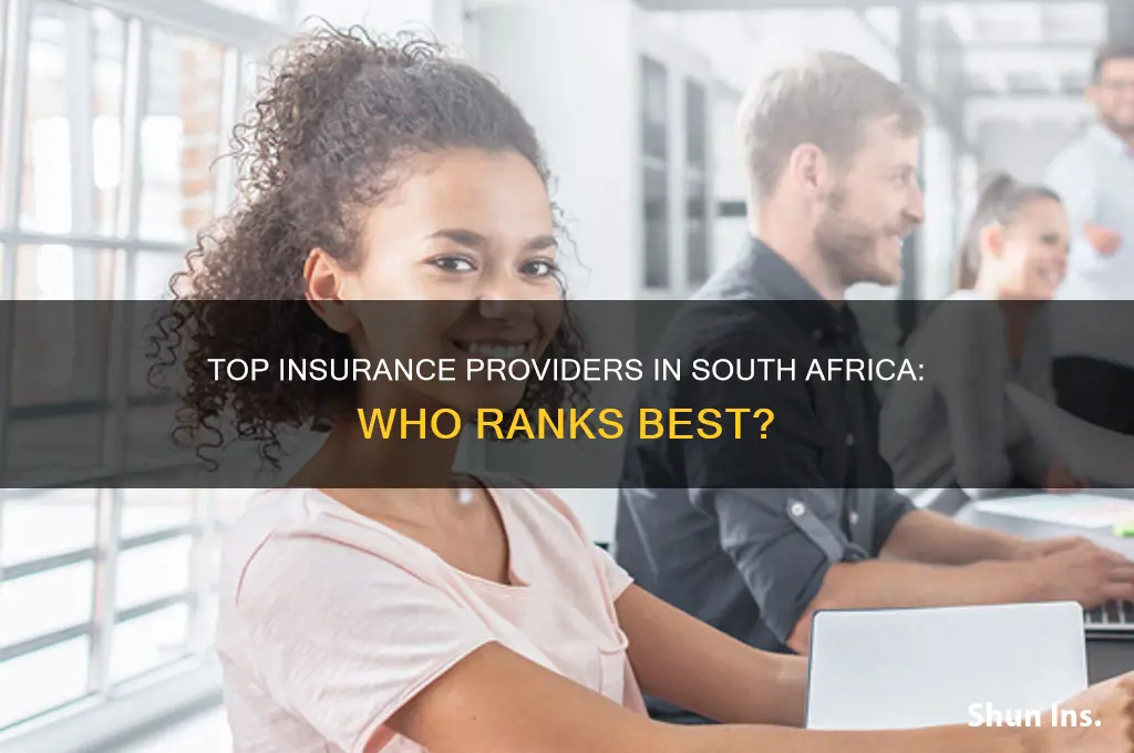 who is the best insurance company in south africa
