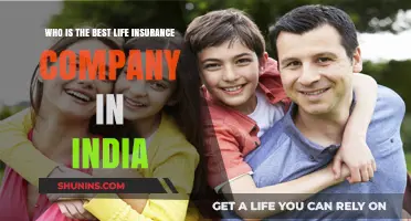 Top Life Insurance Companies in India: Who Ranks Best?