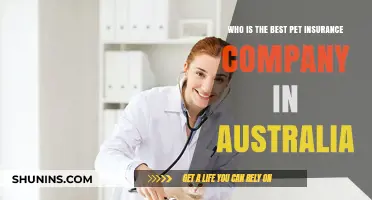 Top Pet Insurance Providers in Australia: A Comprehensive Review