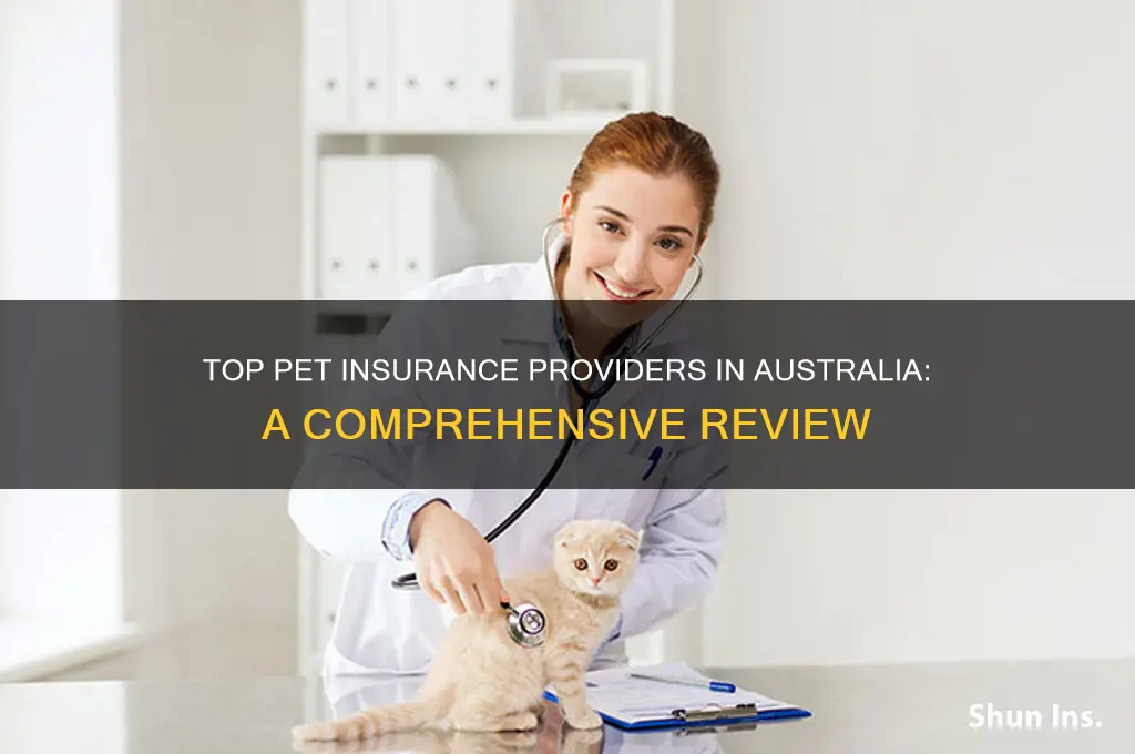 who is the best pet insurance company in australia